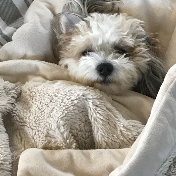 Meet your Posher, Dawn - Picture 2 of 3